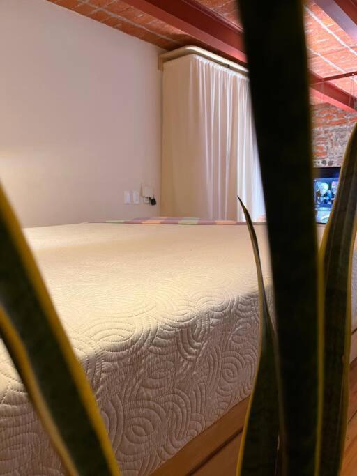 108, Loft Confortable, Balcon 1 Calle Bellas Artes 멕시코 시 외부 사진